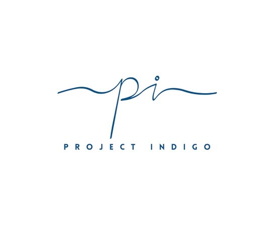 PI PROJECT INDIGO PI PROJECT INDIGO