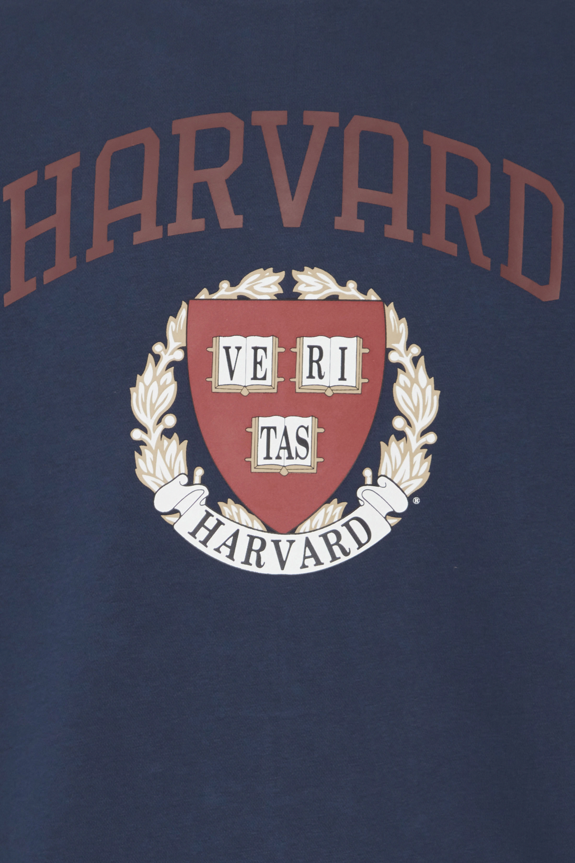 20716638_194024_300-jpg