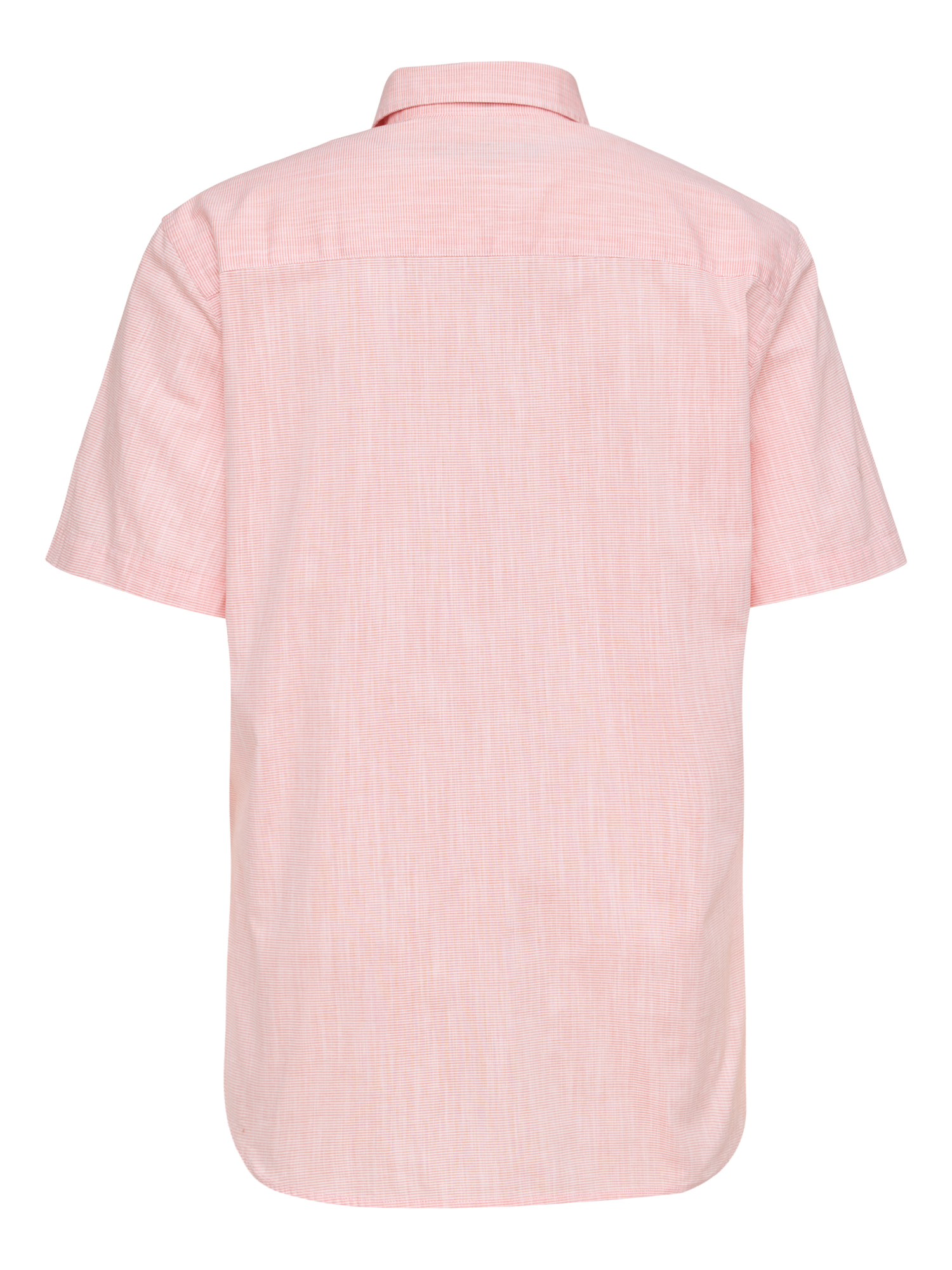 330277466000-0637_7_herren-kurzarm-freizeithemd-baumwolle-paddocks-jpg