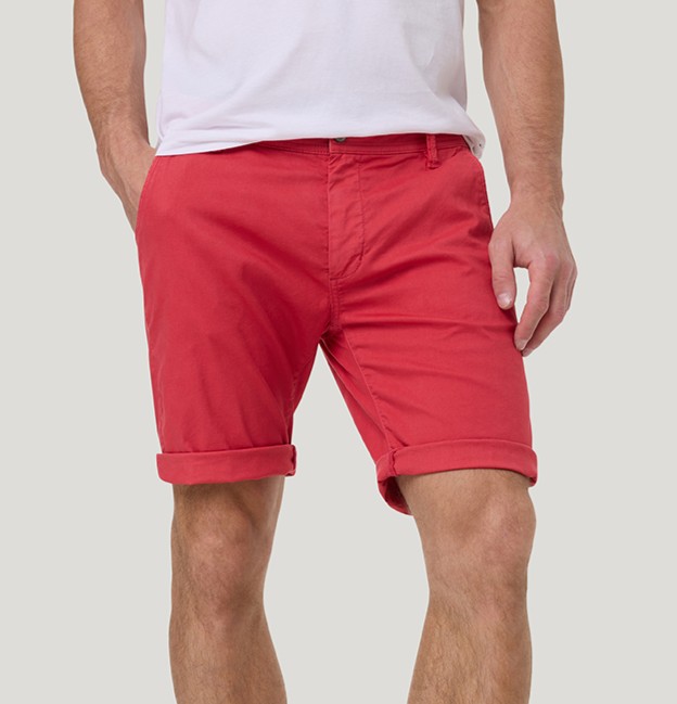 PIONEER LENNY chrysanthemum 13771 5239.4102